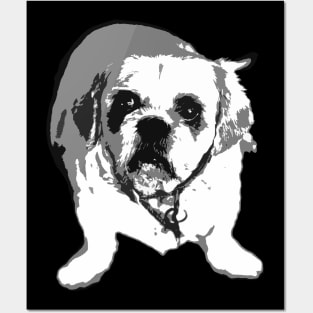 Charley-O Posters and Art